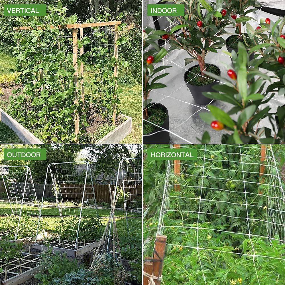 Peas grow nicely on CANAGROW trellis netting, maximizing vertical space.
