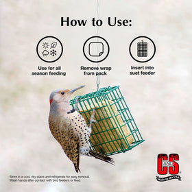 C&S Berry Suet Treat backyard buffet attracts diverse songbirds.