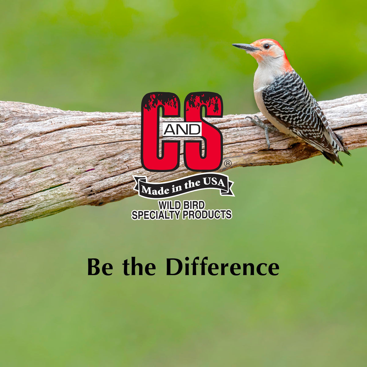 C&S Berry Suet Treat refrigerate after use and easy removal.