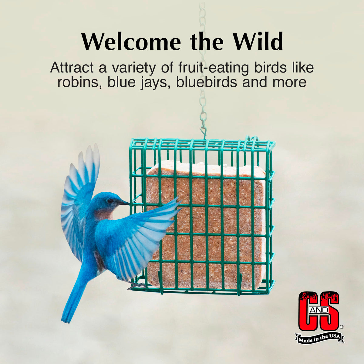 C&S Berry Suet Treat in a wire feeder for easy feeding.