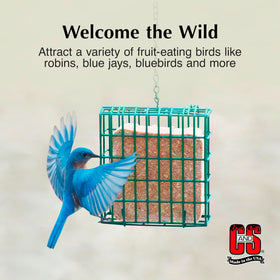 C&S Berry Suet Treat in a wire feeder for easy feeding.