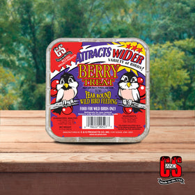 C&S Berry Suet Treat supports year-round energy for birds.