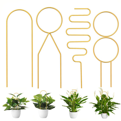 CANIPHA gold trellis set for indoor use supports climbing plants and enhances display.