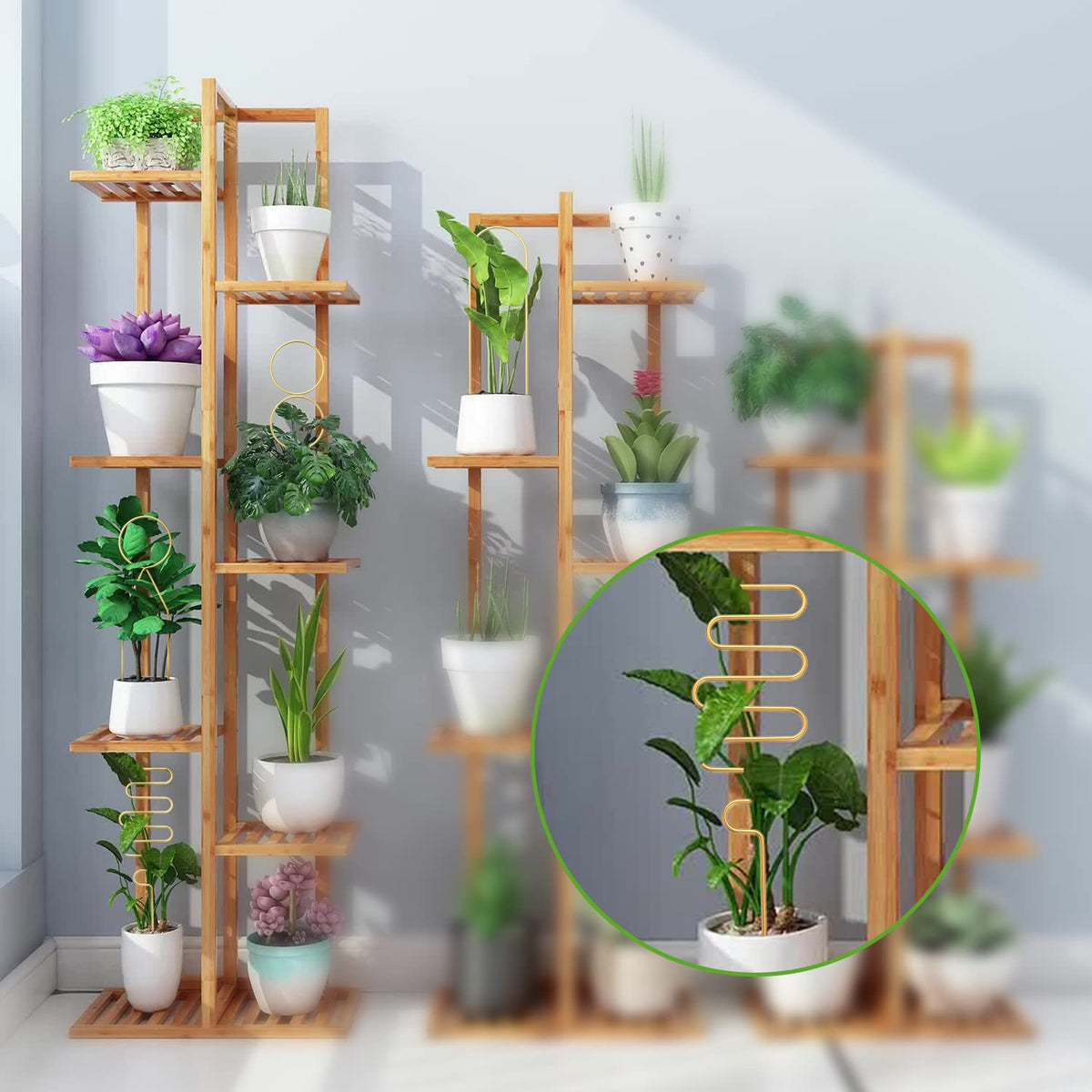 CANIPHA durable iron trellis prevents drooping while boosting plant display.