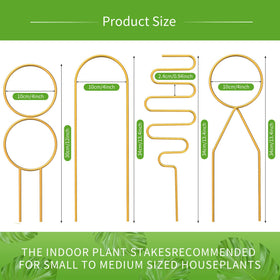 CANIPHA metal plant trellis with golden coating adds decorative, rust-resistant support.