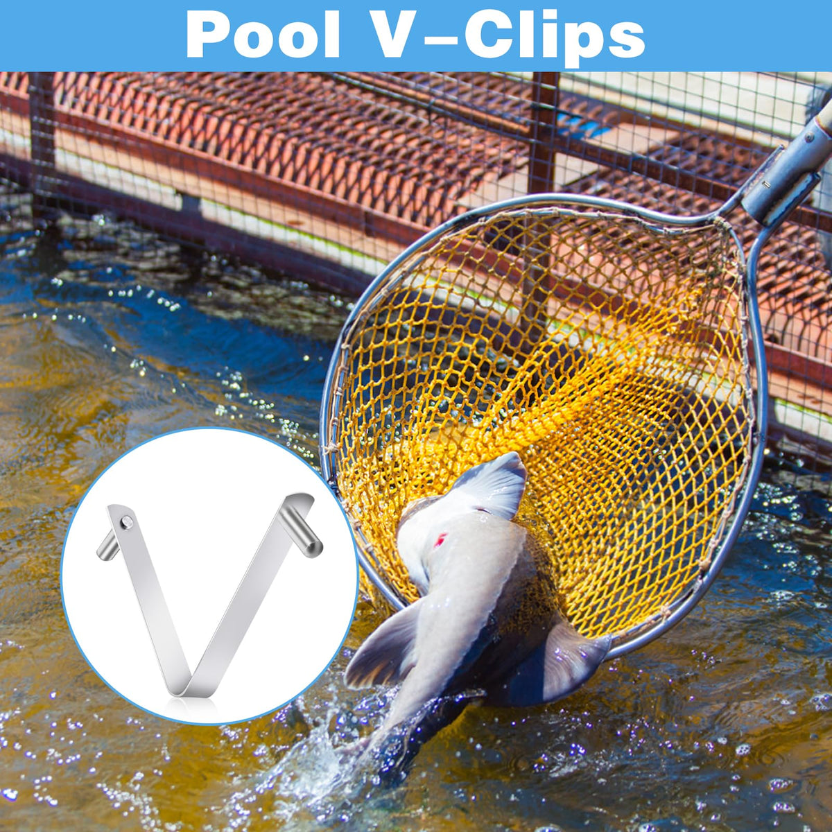 CANIPHA pool clip dimensions 6 cm by 7 cm for a precise fit.