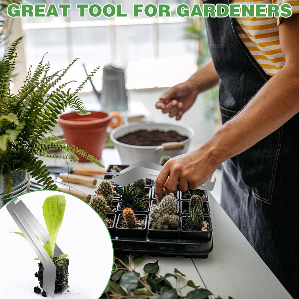 CANIPHA seedling tools suitable for office, tabletop, and potting projects.