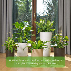 CANIPHA small potted plant trellis 34x10cm provides sturdy support for stems.