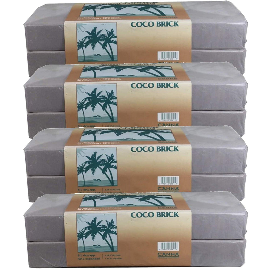 CANNA Coco Brick expanding into coco medium, supporting easy transplanting and root growth.