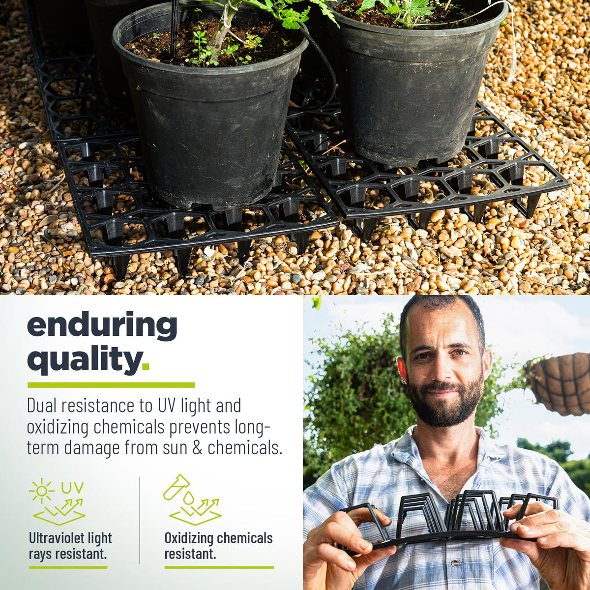 Cannrise Plant Riser promotes healthier roots through better spacing.