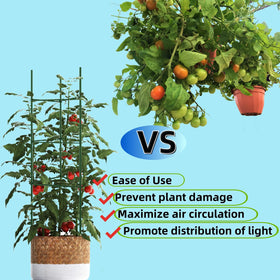 Caonysh easy-install system helps you create plant supports quickly.