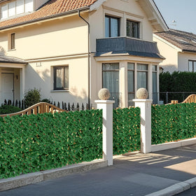 CAPBUDING privacy screen ivy with dense leaves creates natural separation.