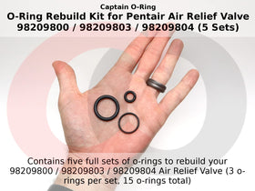 Captain O-Ring large-small-medium o-rings arranged for precise valve assembly.