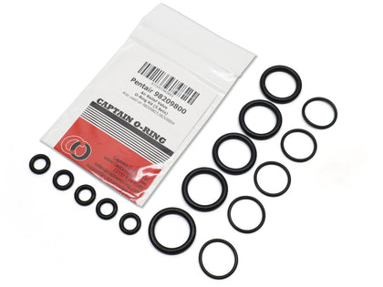 Captain O-Ring rebuild kit for Pentair air relief valve—complete set for simple maintenance.