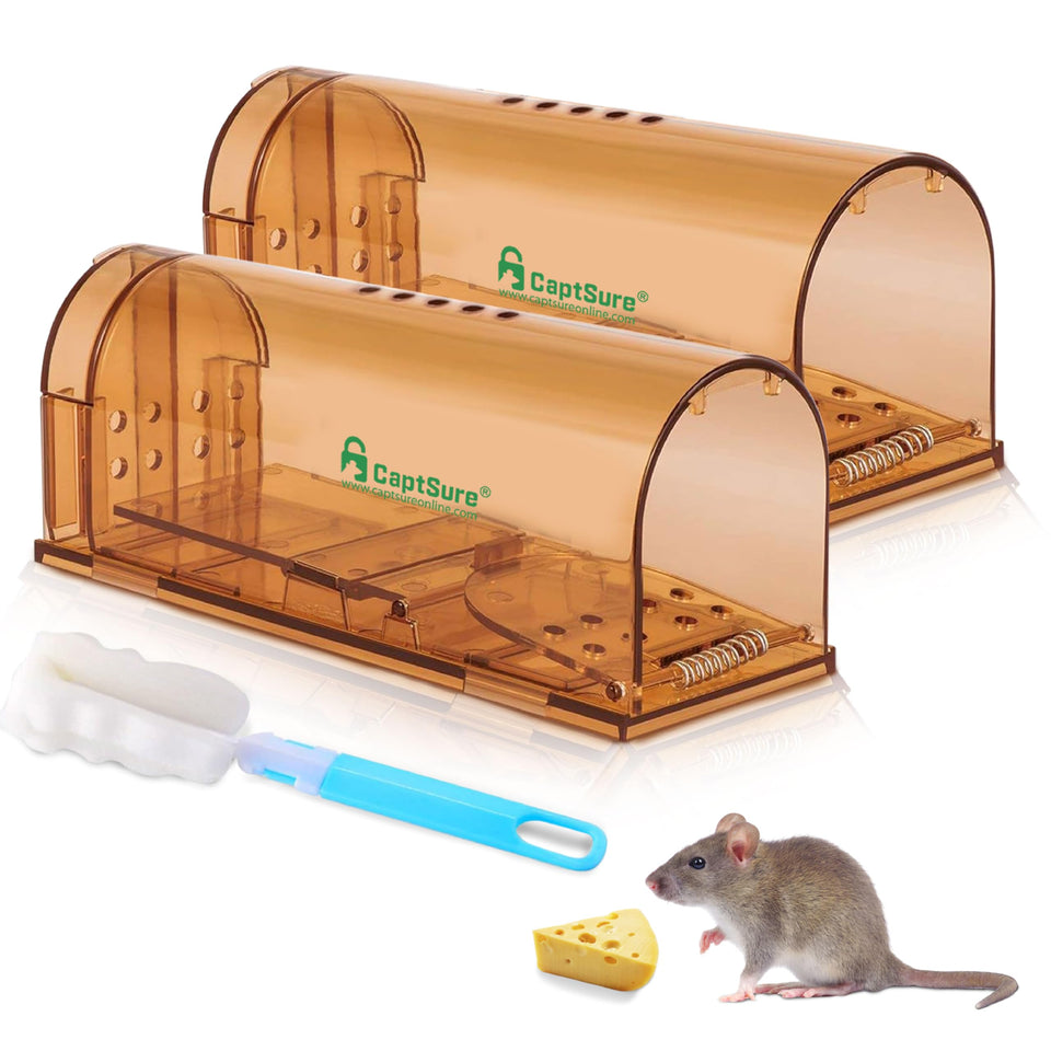 CaptSure humane mouse traps indoors with a dual-chamber design for safe catch and release.