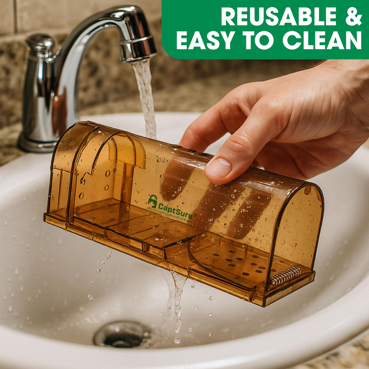 CaptSure versatile trap works for hamsters, chipmunks, and other small rodents.