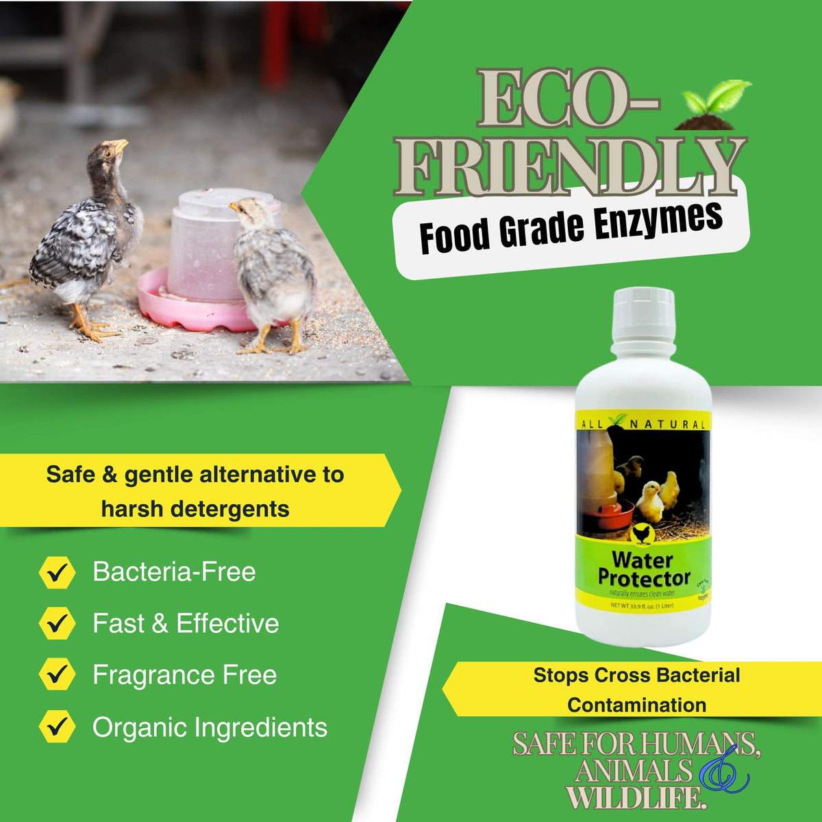 Care Free Enzymes Poultry Water Protector easy rinse aids quick cleanup after use.