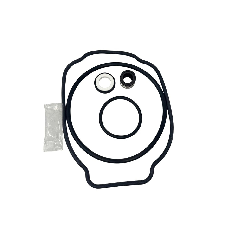 Carjo Southeastern O-Ring Seal Repair Kit for SPXHKIT100, ideal for Hayward pump maintenance.