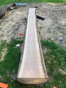 Carmyra 36-inch width milling for large logs.