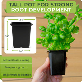 CARPATHEN 64-pack square seedling pots side view, showing sturdy construction and stackability