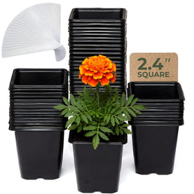 CARPATHEN 64-pack square seedling pots top view, compact 2.4-inch size for neat seed starting