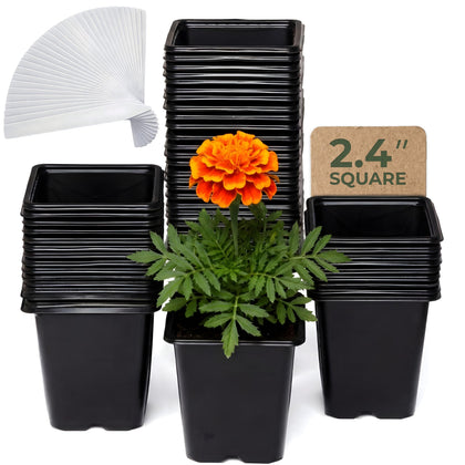 CARPATHEN 64-pack square seedling pots top view, compact 2.4-inch size for neat seed starting