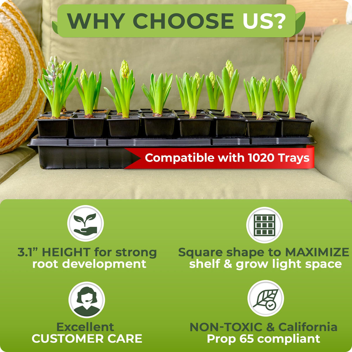 CARPATHEN square seedling pots for indoor and outdoor use, versatile for home gardens
