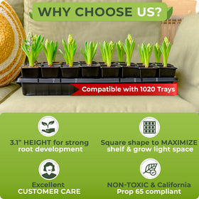CARPATHEN square seedling pots for indoor and outdoor use, versatile for home gardens