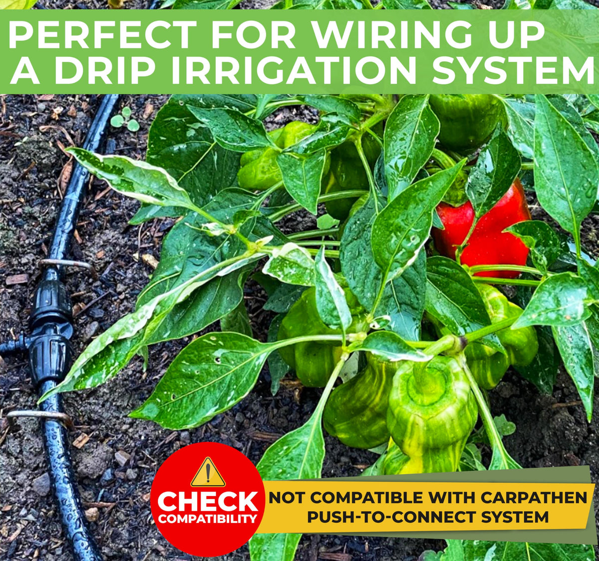 CARPATHEN tubing supports efficient water use in garden beds