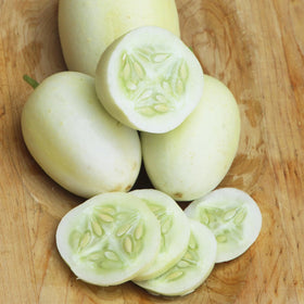 Carpet Creeping egg-shaped fruits offer a whimsical harvest for beginner gardeners