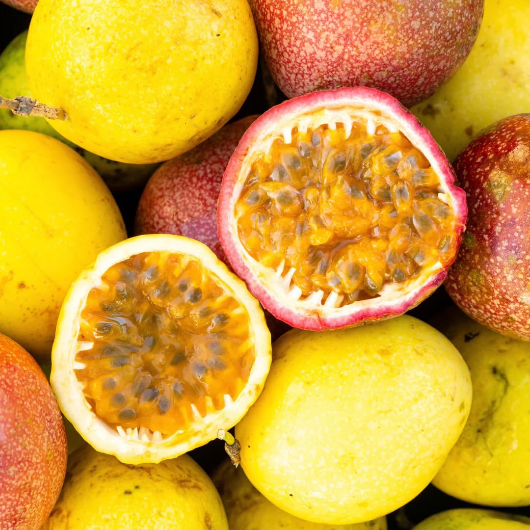 Carpet Creeping fruit close-up reveals yellow fruit with smooth skin.