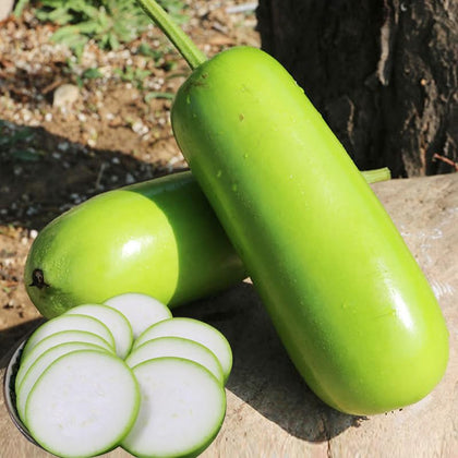 Carpet Creeping long bottle gourd seeds packet for outdoor edible gardening