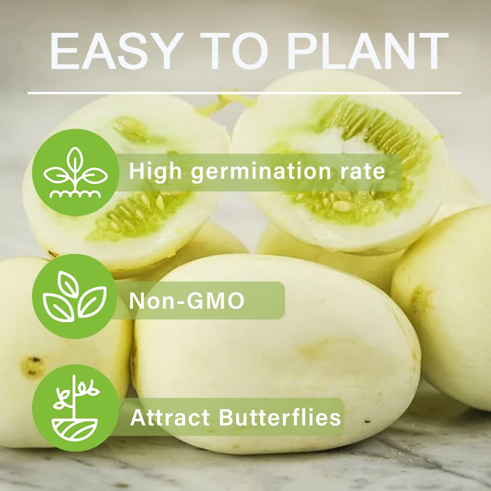 Carpet Creeping non-GMO heirloom seeds support reliable yields in diverse conditions