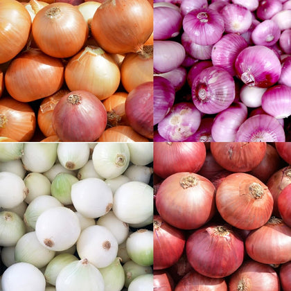Carpet Creeping onion variety pack display for diverse flavors in your garden