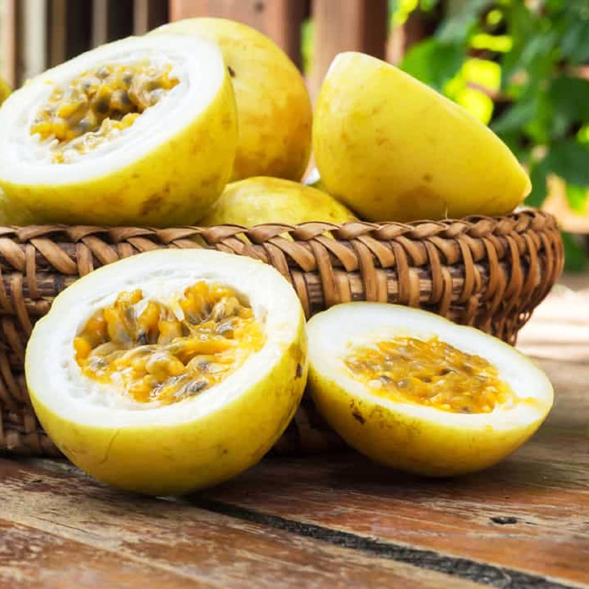 Carpet Creeping non-GMO heirloom seeds for vibrant fruit in home gardens.