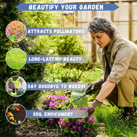 Carpet Creeping pollinator-friendly roses attracting bees in a garden bed.