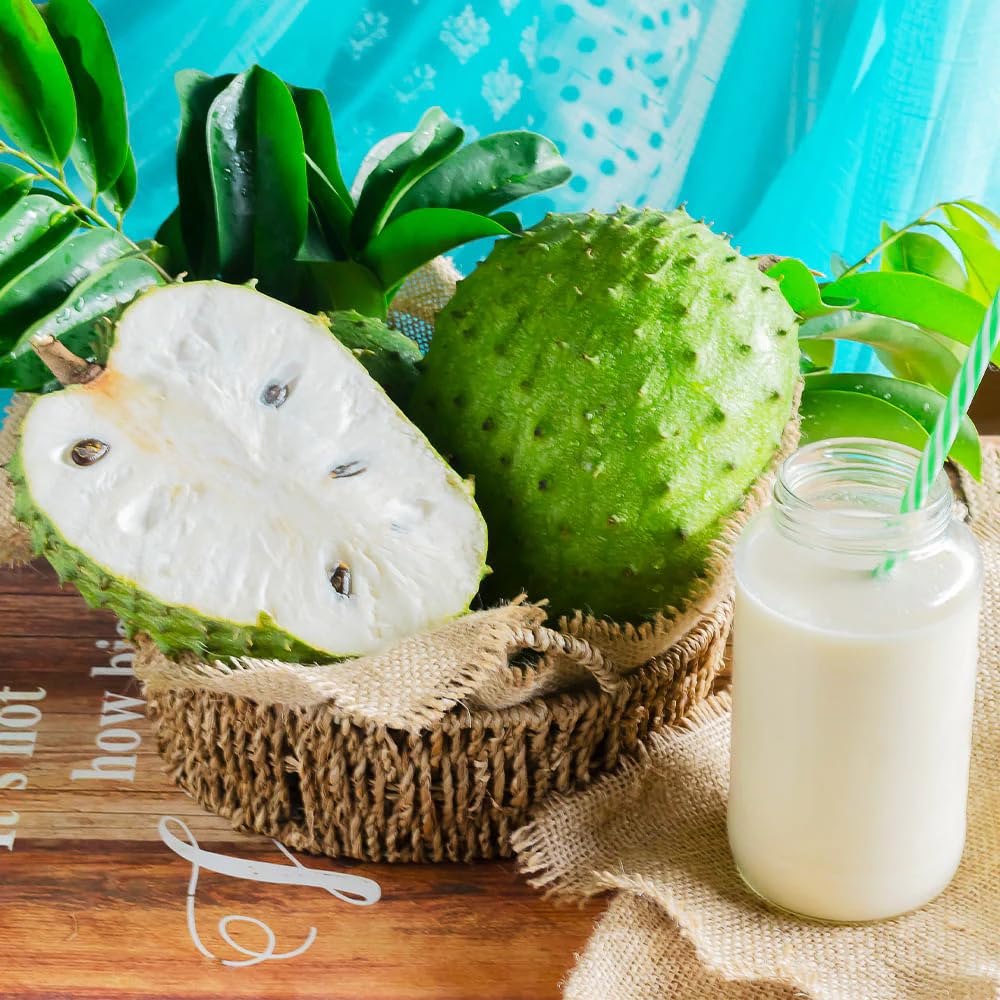 Carpet Creeping Soursop fruit harvest offers fresh juice or desserts potential.