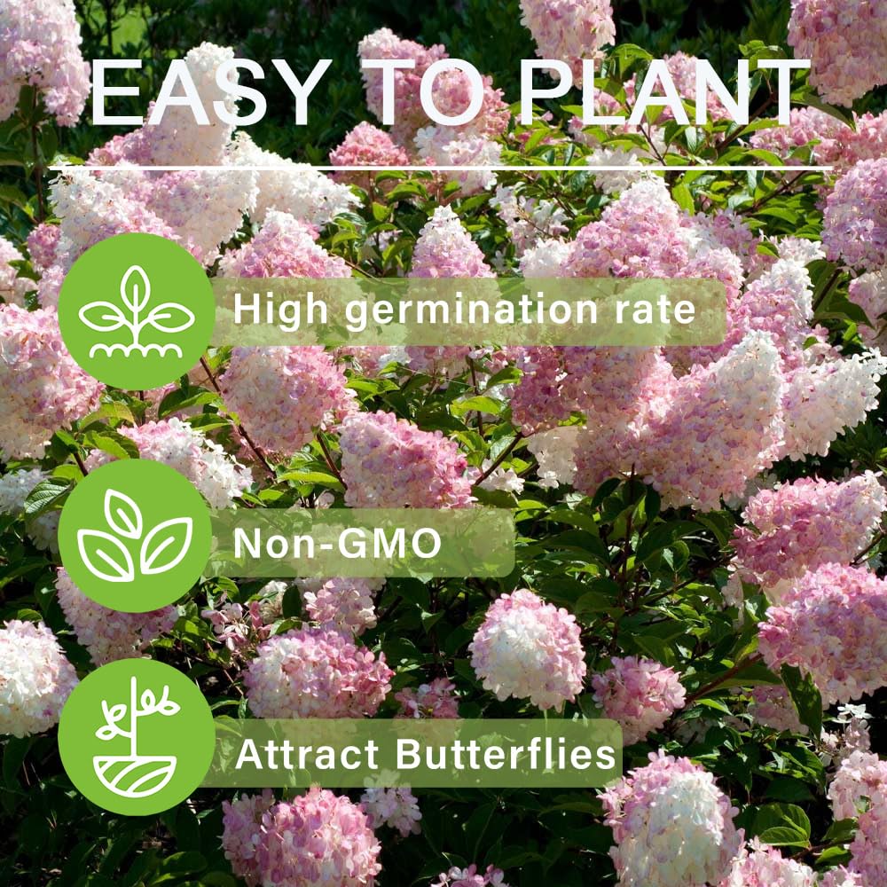 Carpet Creeping seeds attract bees and butterflies in a pollinator-friendly display.