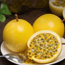 Carpet Creeping passion fruit vines ideal for training on a trellis.