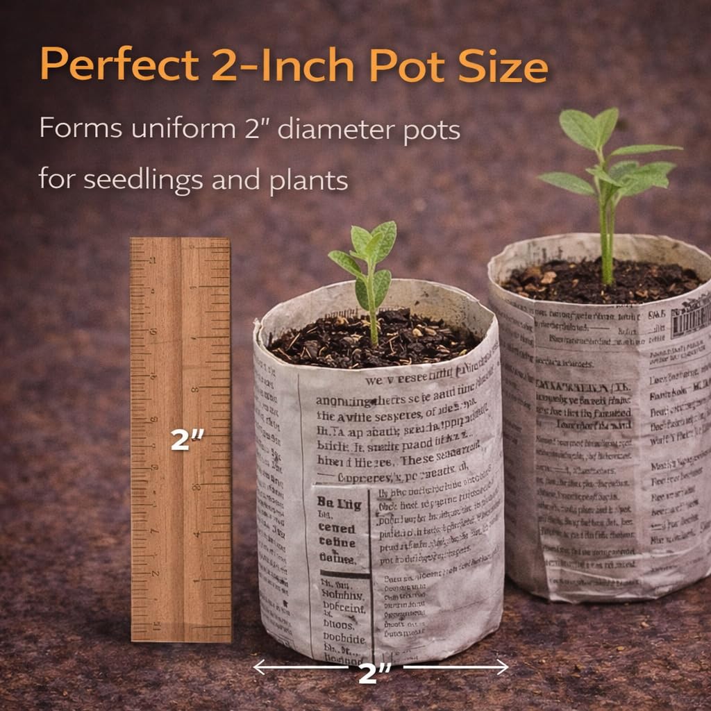 Carrot Design eco-friendly paper pot promotes plant starts without plastic waste.