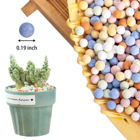 CARURBODY ceramsite pebbles bonsai scene inspires neat, breathable root zones.