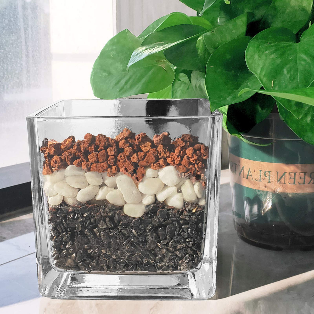 CARURBODY Red lava rocks bonsai top dressing enhances drainage and stability