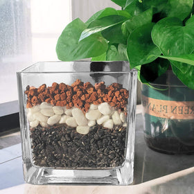 CARURBODY Red lava rocks bonsai top dressing enhances drainage and stability