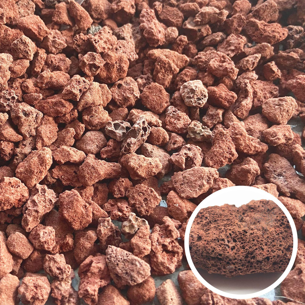 CARURBODY Red lava rocks bottom layer drainage supports healthier roots