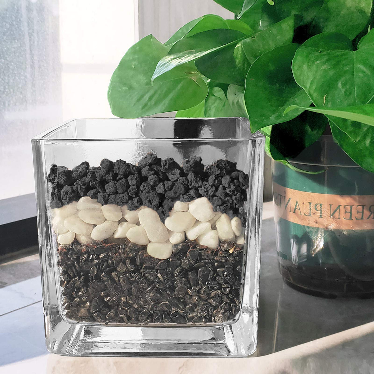 CARURBODY lava rocks ideal for succulent and bonsai soil mixes.