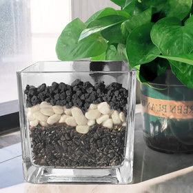 CARURBODY lava rocks ideal for succulent and bonsai soil mixes.