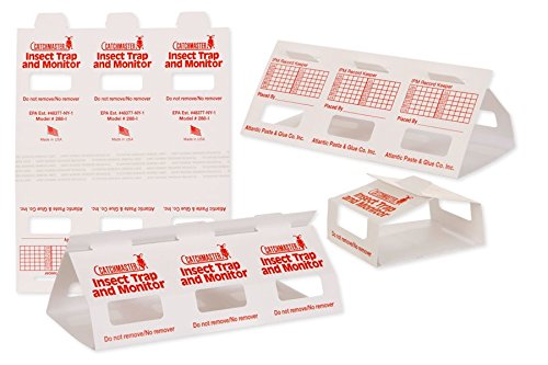 Catchmaster 15 Brown Recluse Glue Traps pack for safe home pest control