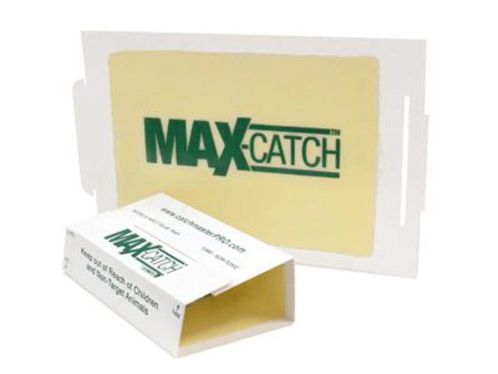 Catchmaster 72MB flat glue board for mice and insects, discreet baseboard placement.