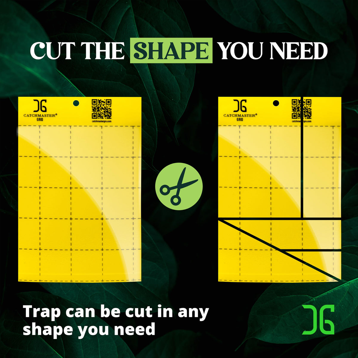 Catchmaster GRO yellow traps protecting a farm setup from garden pests.