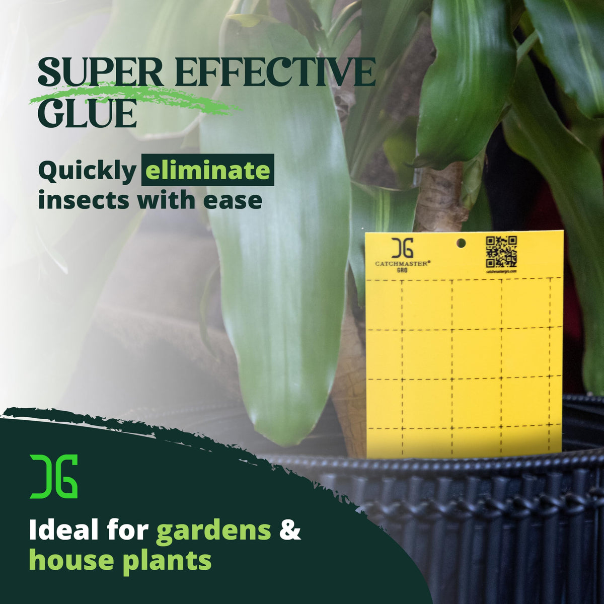 Catchmaster GRO yellow trap staked in ground beside garden beds.